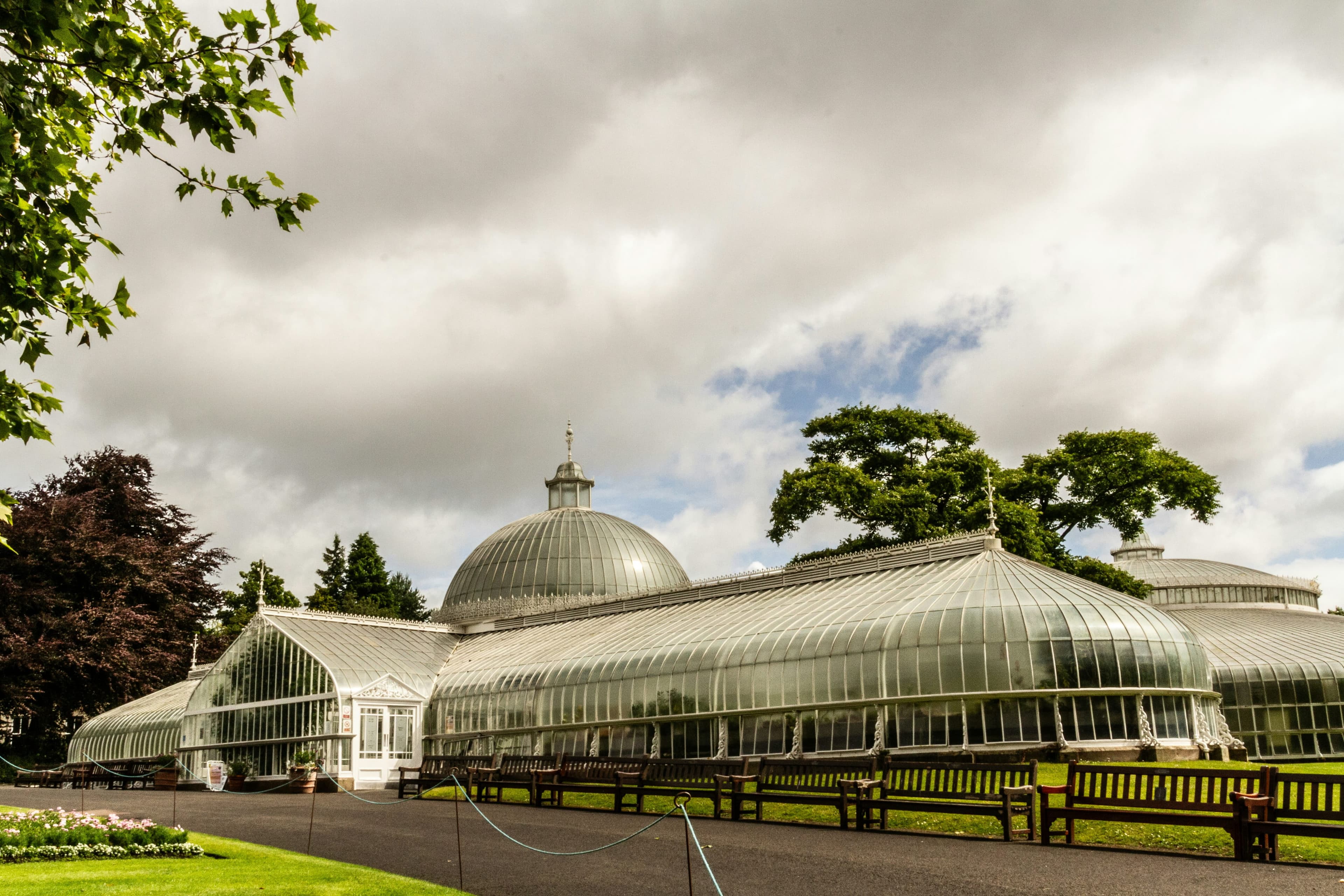 Botanics glasshouse event image