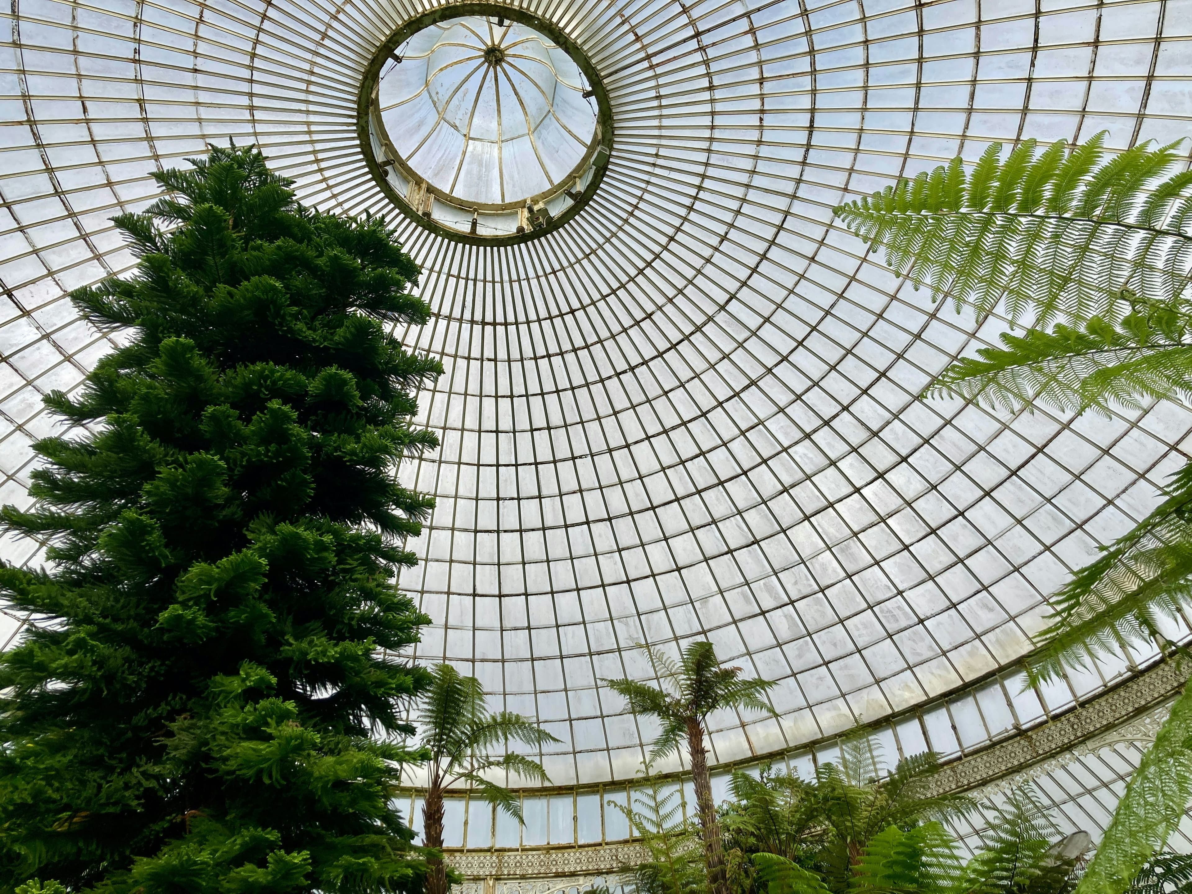 Inside view of the Kibble Palace glasshouse rotunda dome